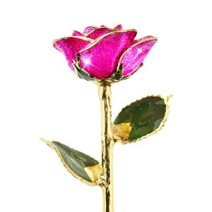 I Hate Steven Singer “Malibu Pink” 24 karat gold-hand dipped real rose.